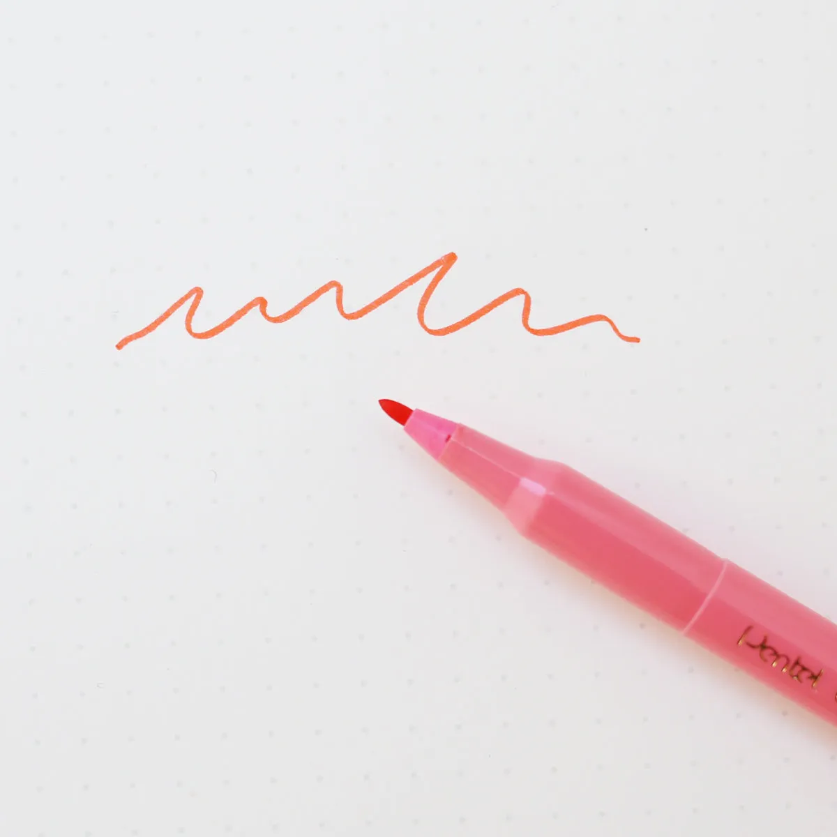 COLOR PEN // CORAL PINK