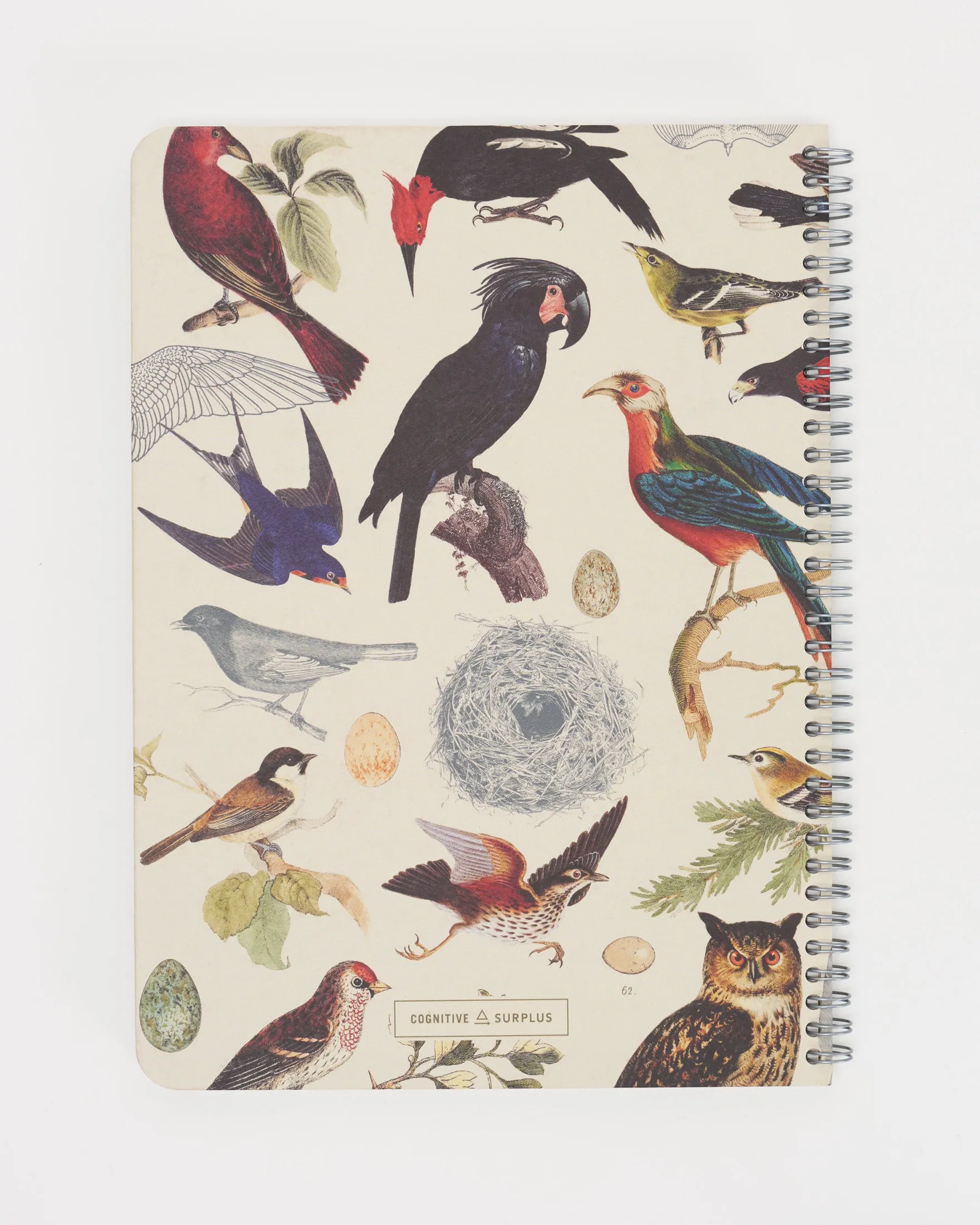 Feathered Friends: Birds Spiral Notebook