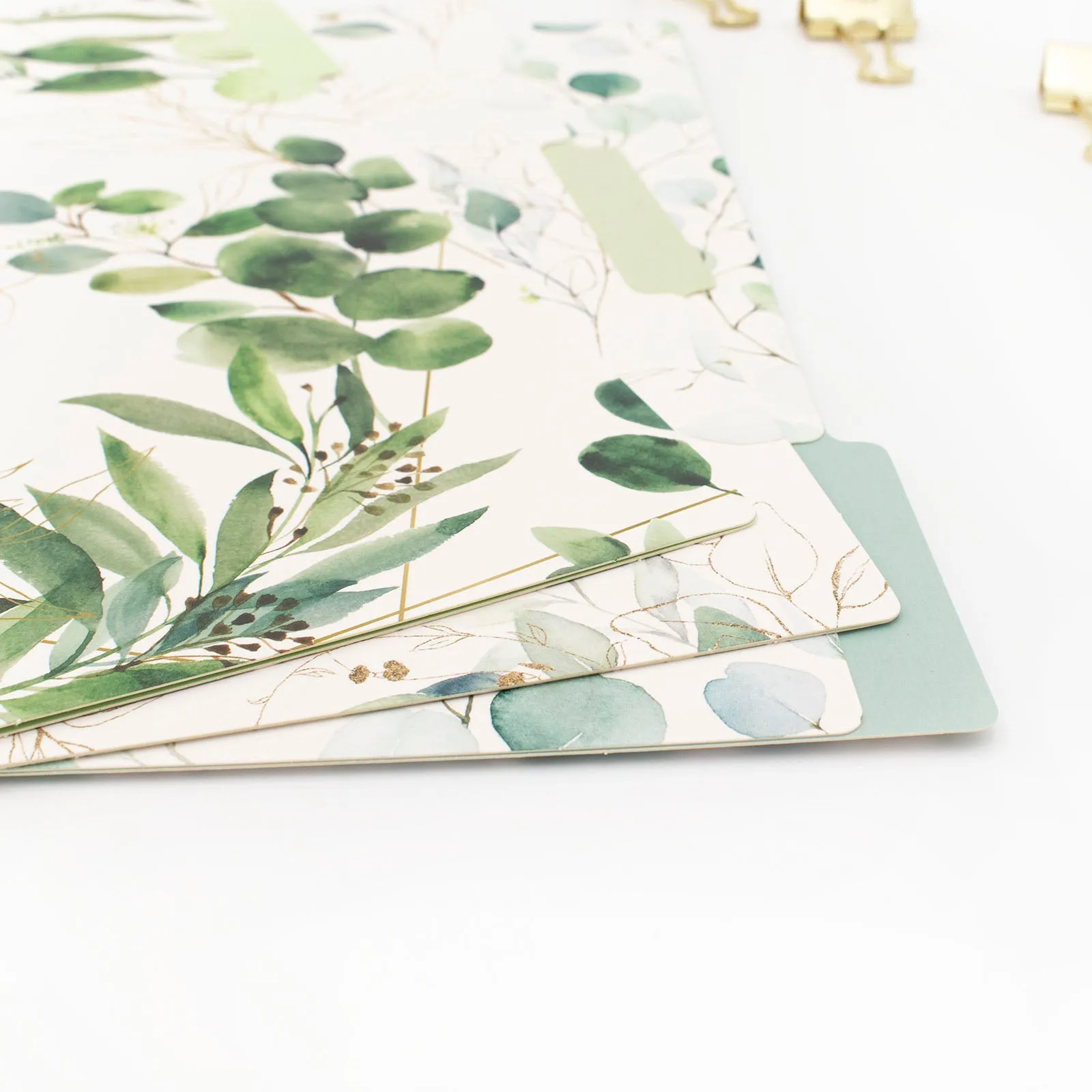 File Folder Set, Eucalyptus