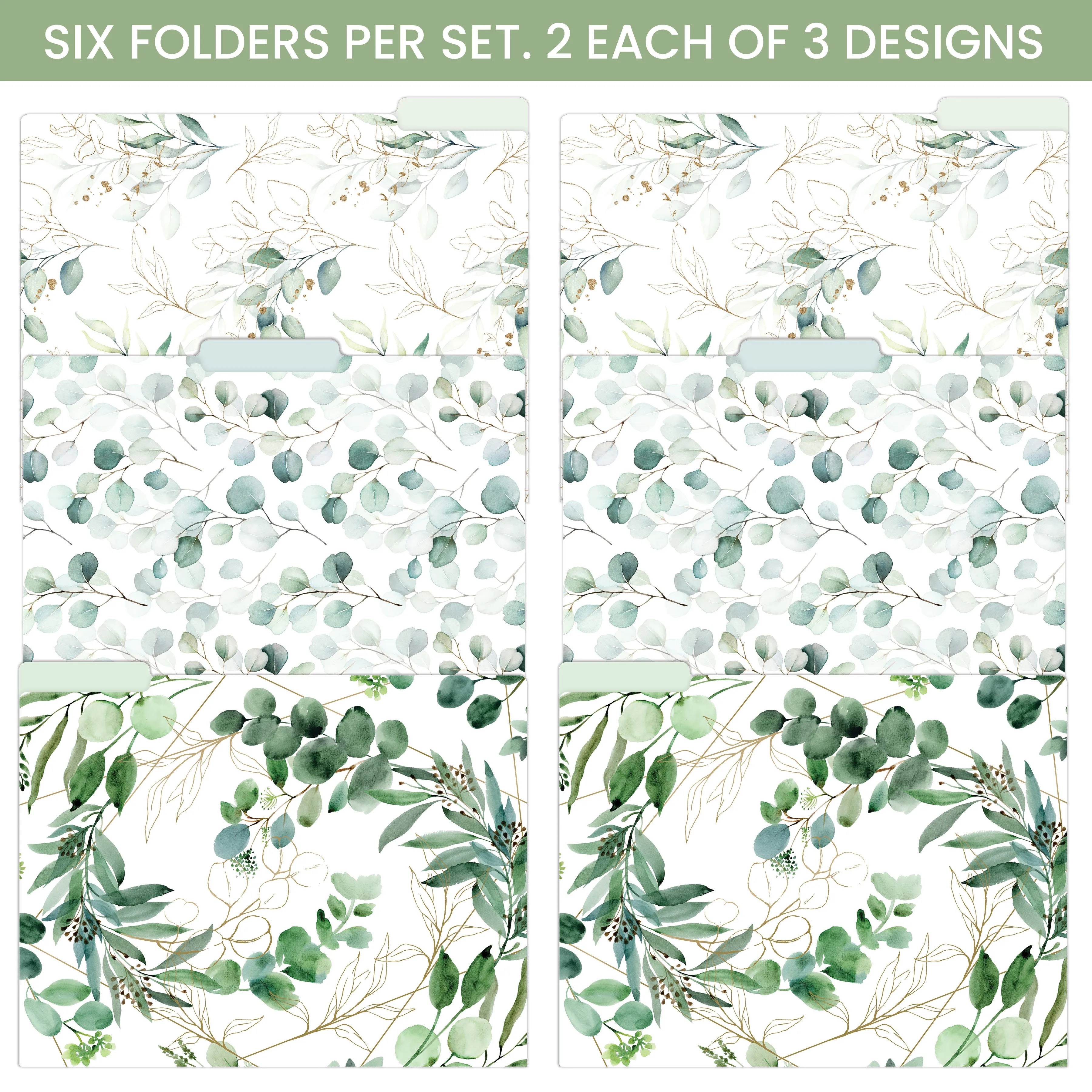 File Folder Set, Eucalyptus