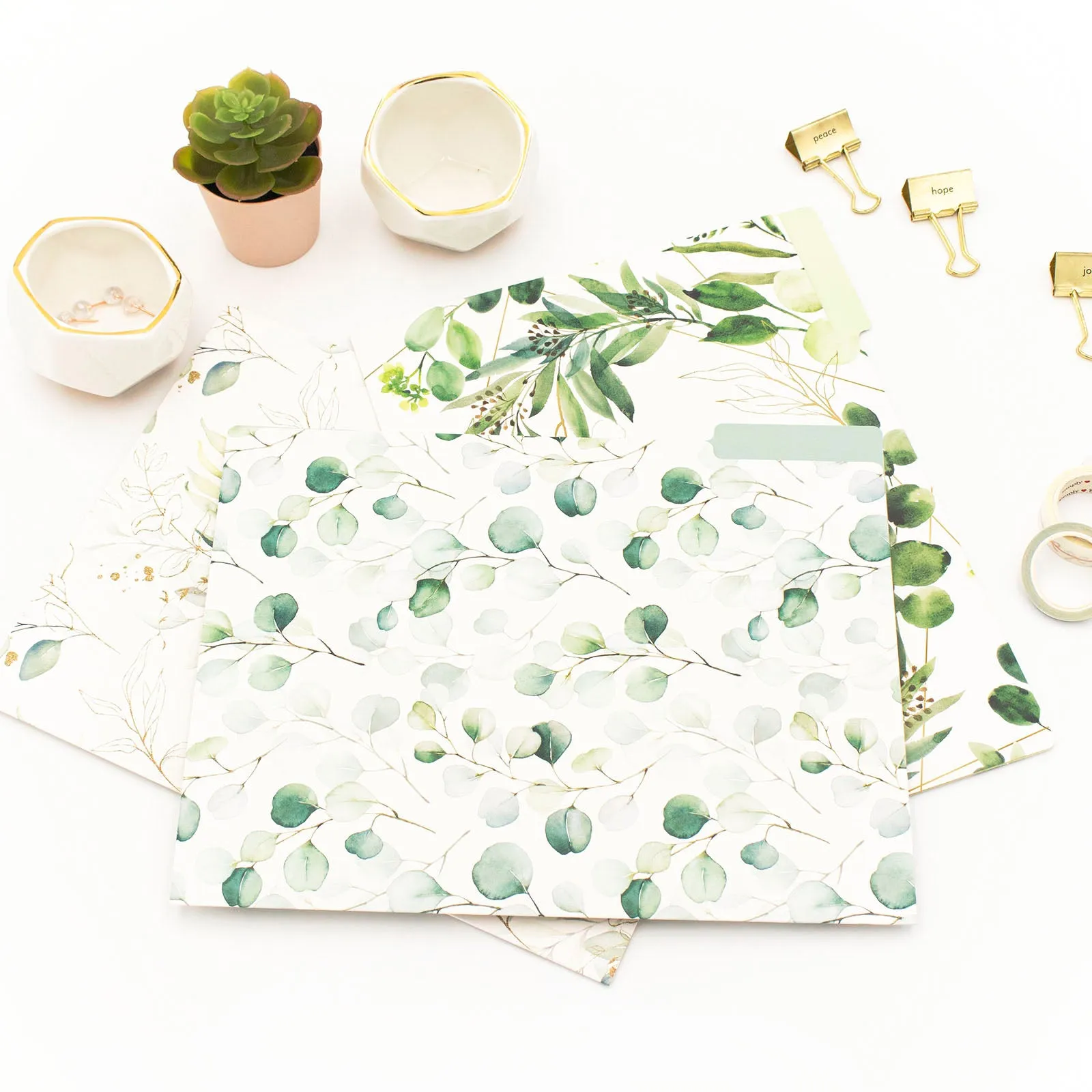 File Folder Set, Eucalyptus