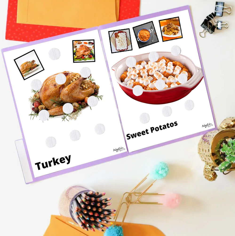 Free Life Skills Thanksgiving Sorts File Folders (Printable PDF   Digital)