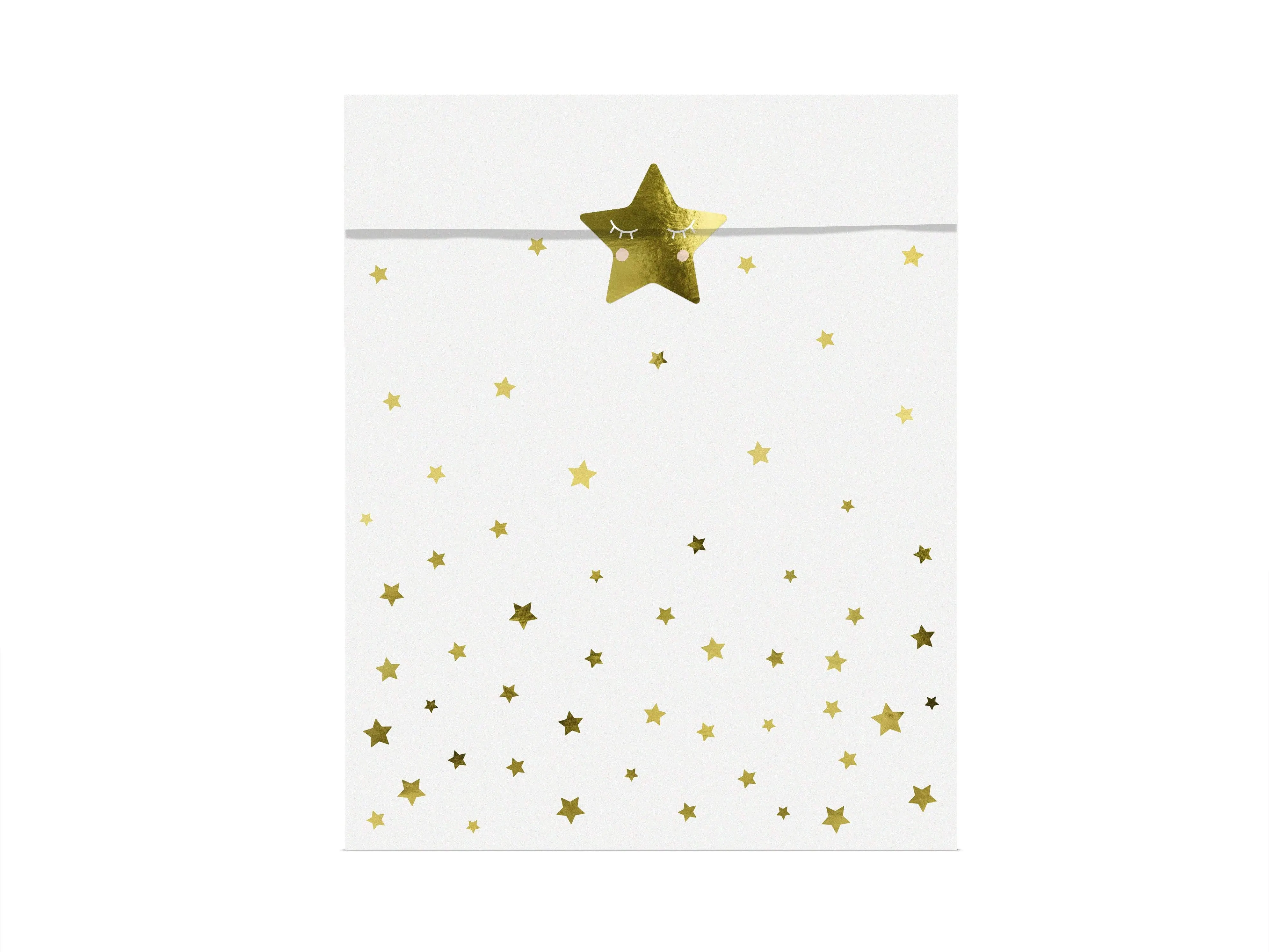 Little Star Treat Bags (6 Pack)