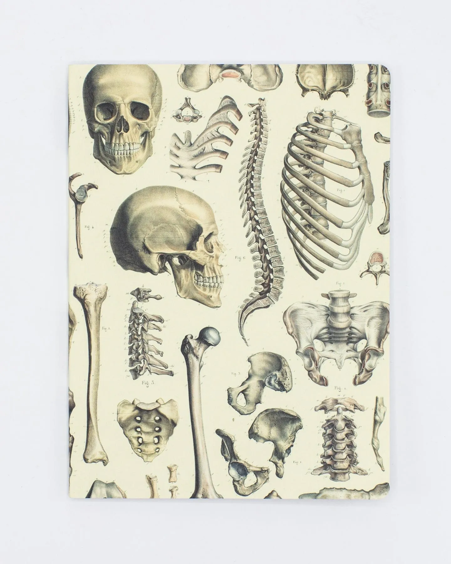 Skeleton Plate 2 Softcover Notebook - Lined