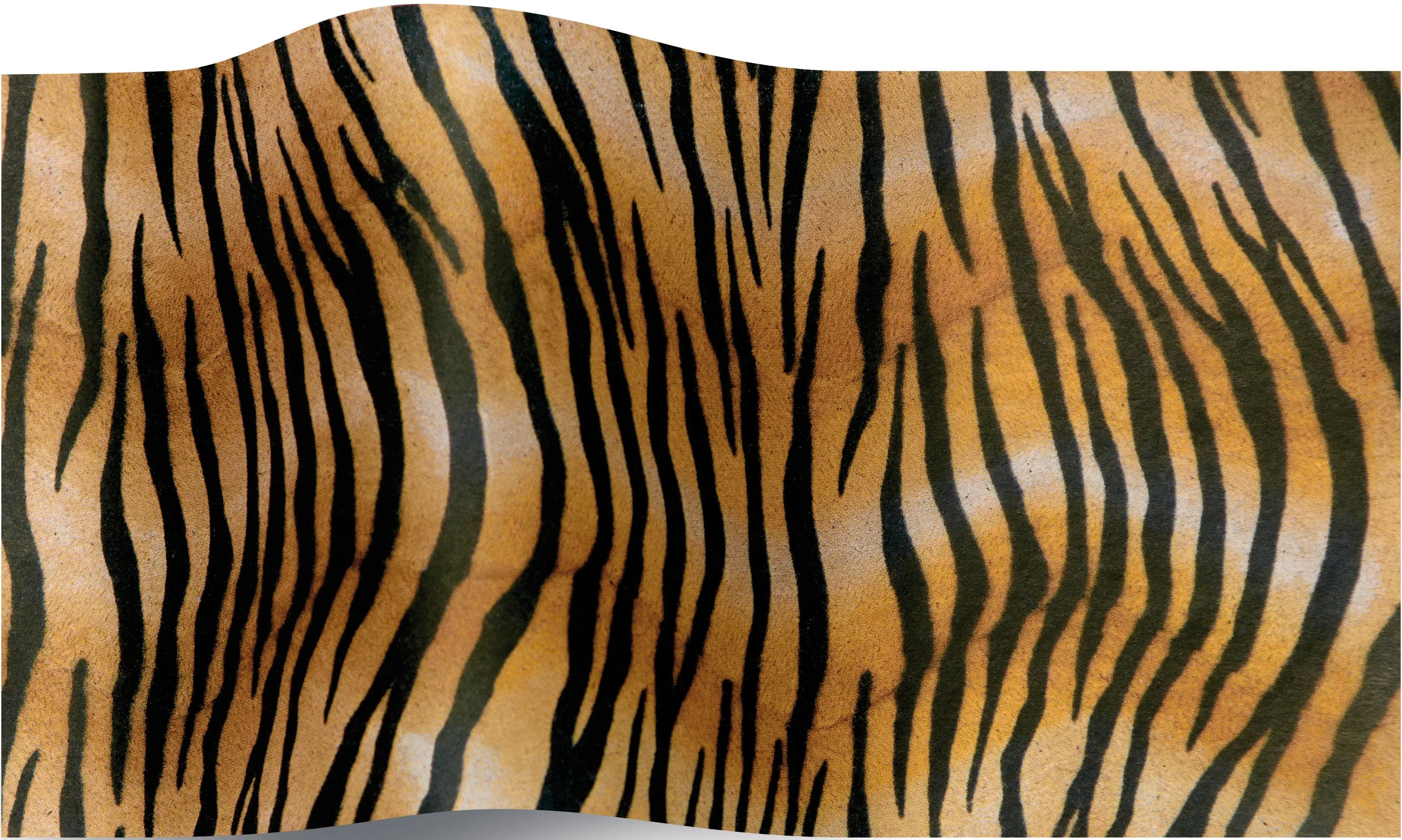 Tiger tissue paper 70x50cm - 10 sheets