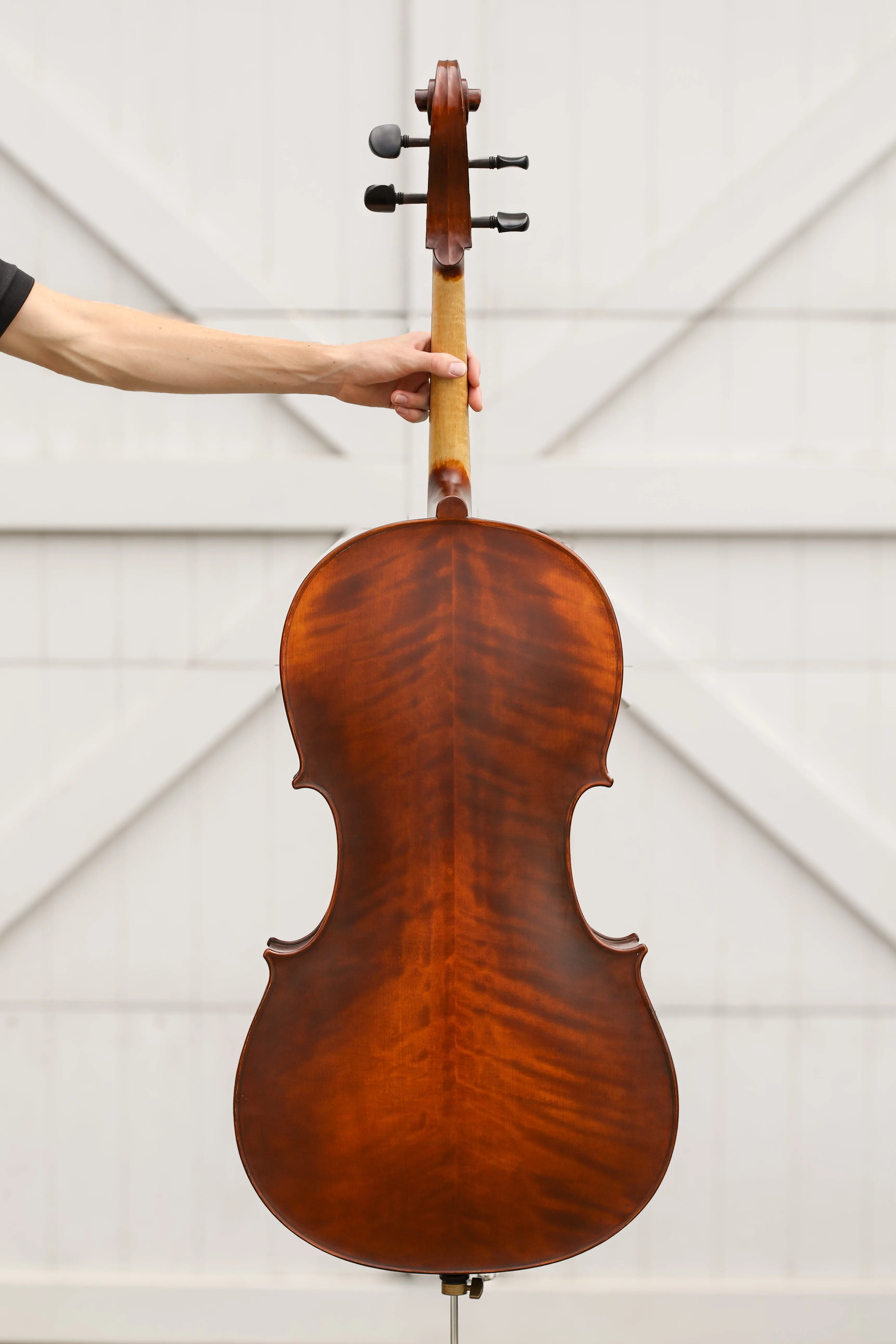 Virtuoso Cello Outfit